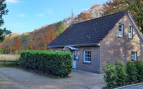 Am Waldesrand RE16