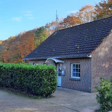 Villa Am Waldesrand RE16 Sögel Exterior foto